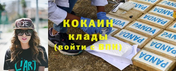 шишки Куйбышев