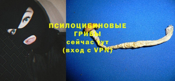 шишки Куйбышев