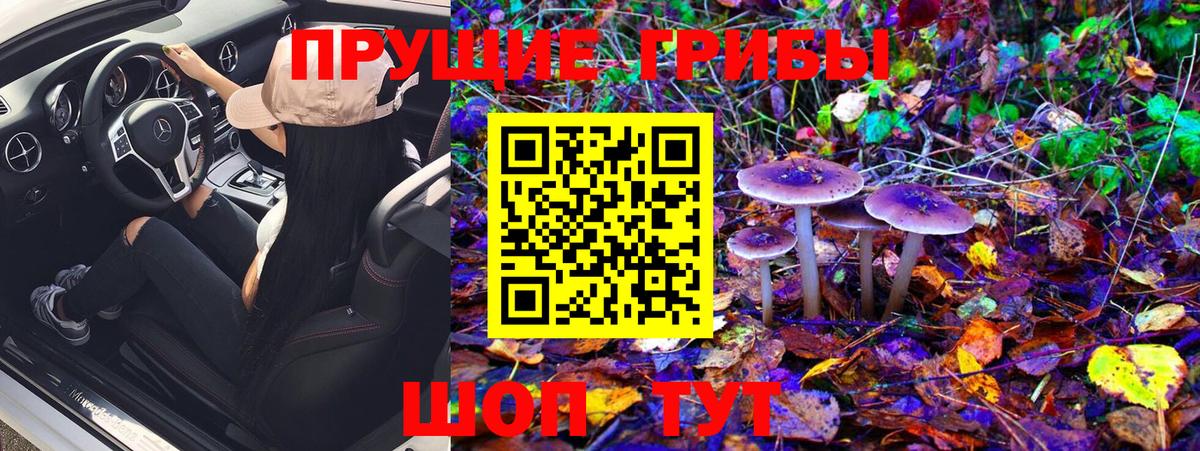 Псилоцибиновые грибы Magic Shrooms Рыбинск