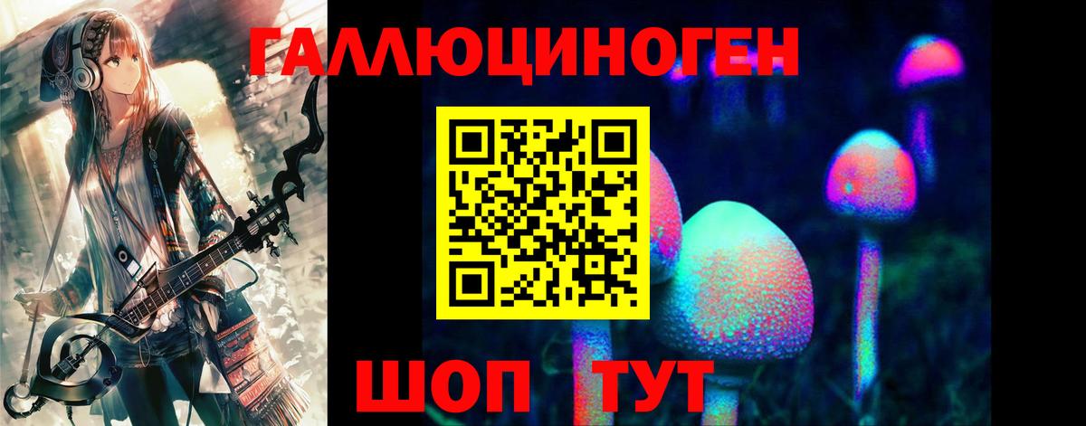 Рыбинск  Псилоцибиновые грибы Cubensis  Вход с VPN 
