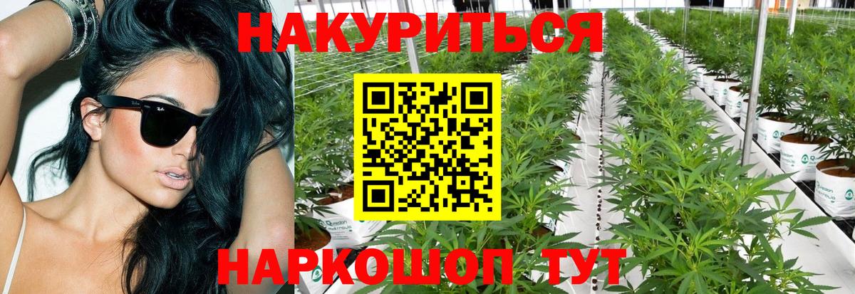 Каннабис Amnesia Рыбинск